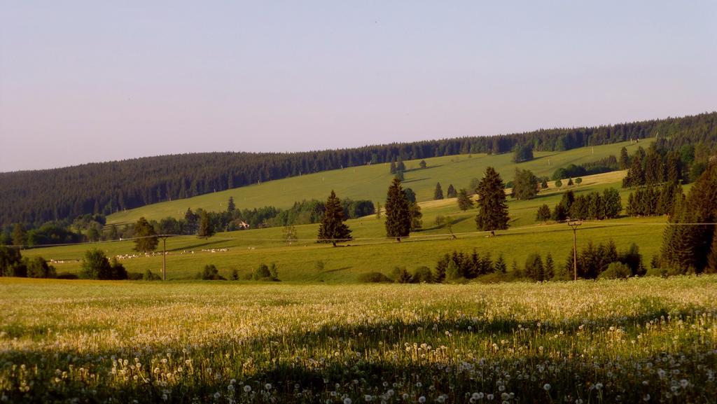 U Votápků Apartamento Nove Hute Exterior foto
