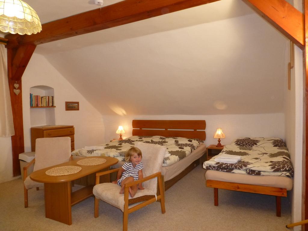 U Votápků Apartamento Nove Hute Exterior foto