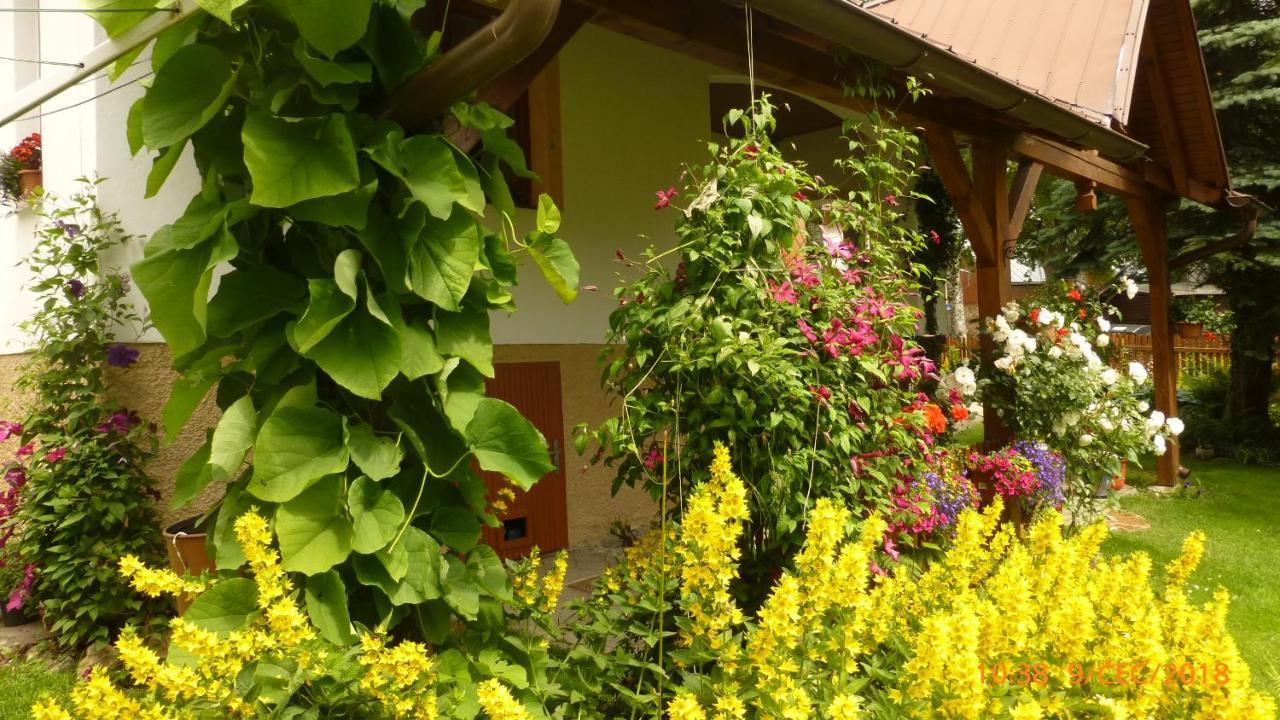 U Votápků Apartamento Nove Hute Exterior foto